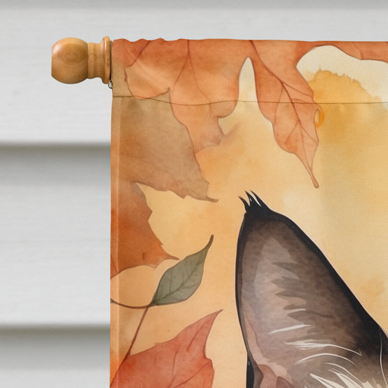 Chat en feuilles d'automne, Siamois