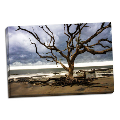" Storm Is Coming II " by Alan Hausenflock