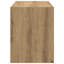 Agnus Rectangle Accent Chest-1648736969