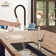 Spring Neck Standard Kitchen Faucet with Dual-Function spray head and Deck Plate
