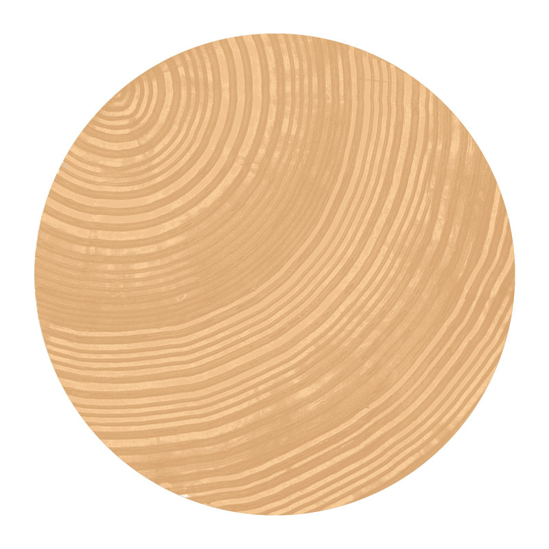 STEM Painting
