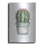 «Mixed Greens Succulent II» par Lisa Audit-419878562