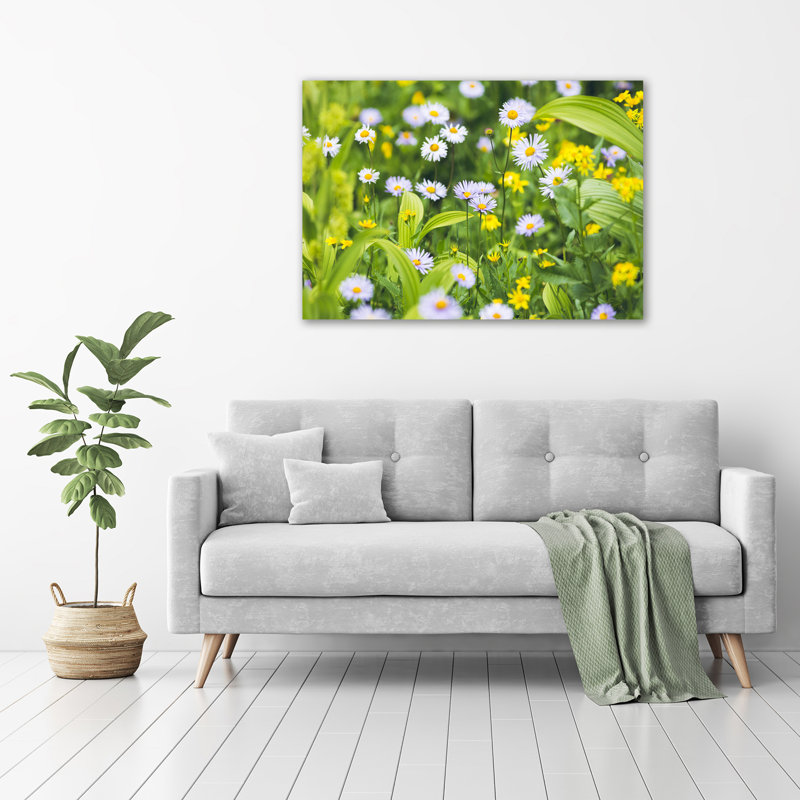 Daisies - Wrapped Canvas Print