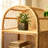 Modern and Simple Rattan Display Cabinet