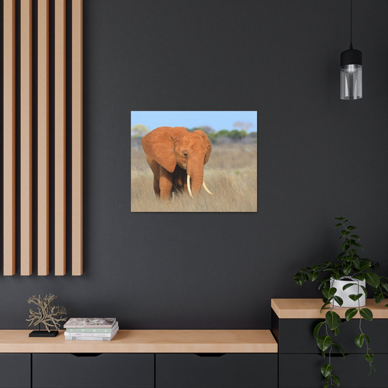 No Frame Print on Canvas, 60.96cm H x 76.2cm W