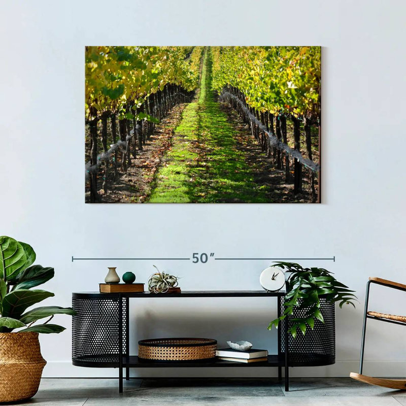 Yarlin Napa Valley Vineyard, H 30 po x l 45 po