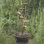Fontaine de table d’extérieur Lotus en résine Acqua Di loto Lotus