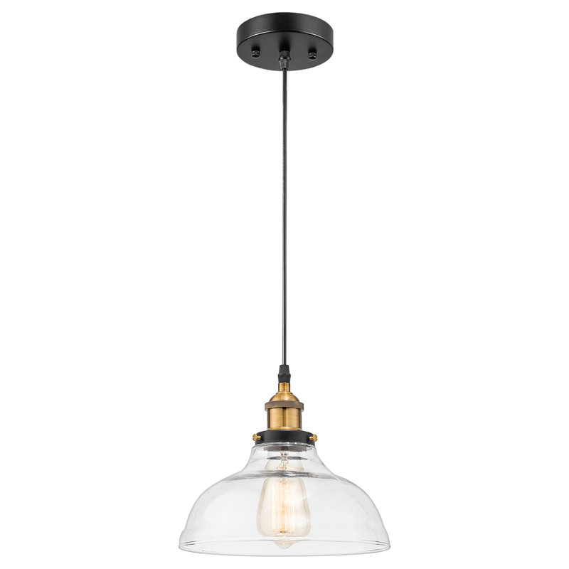 Luminaire suspendu moderne en verre 1 lumière
