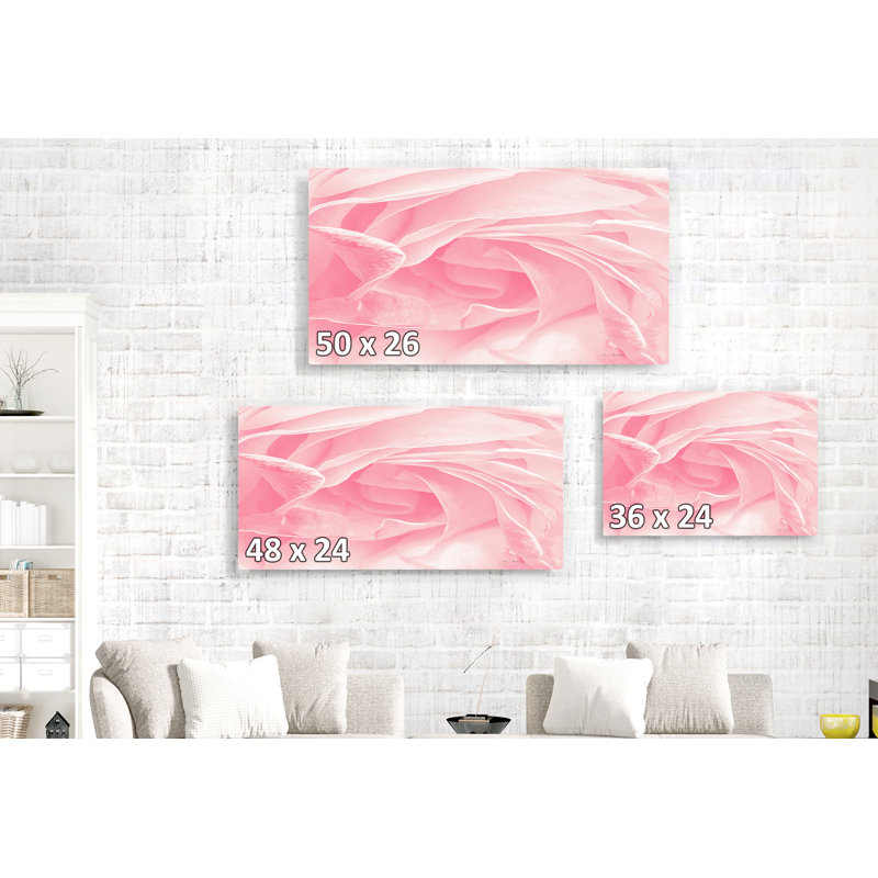 Gros plan d'une rose rose, fleurs, fleurs, H 24 po x l 48 po x P 1,5 po