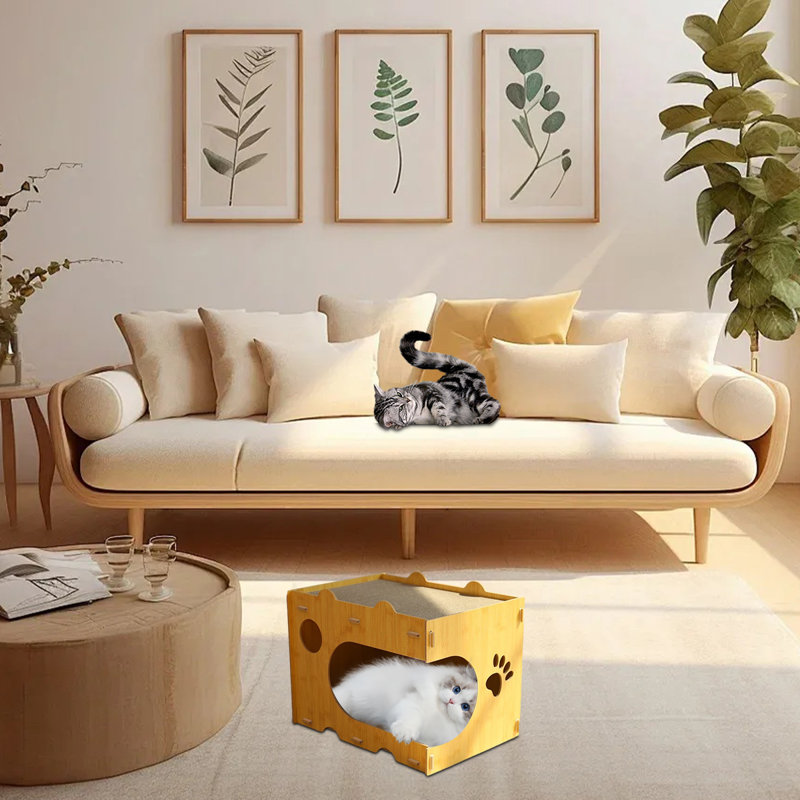 Maison de chat Elijyah