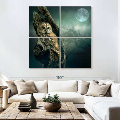 Owl At Night