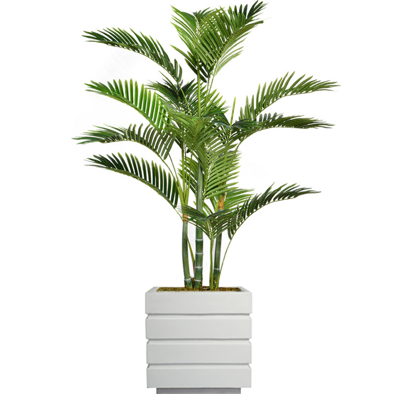 Panama 54" Artificial Palm Tree in Planter, White