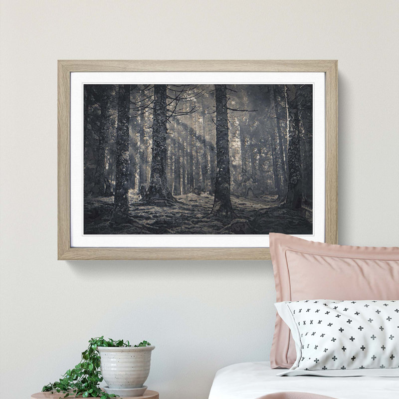 Pine Tree Forest - Picture Frame Graphic Art Print, Oak Framed, 48cm H x 65cm W x 2cm D