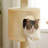 Multi-Level Cat Climbing Tower With Cat Condo, Cat Tree With Scratching Board-1514182590