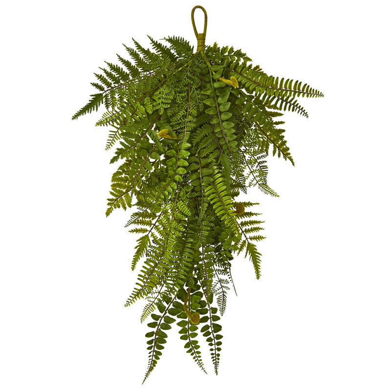 Ensemble de 2 plantes artificielles en fougère