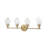 4 - Light Vanity Light
