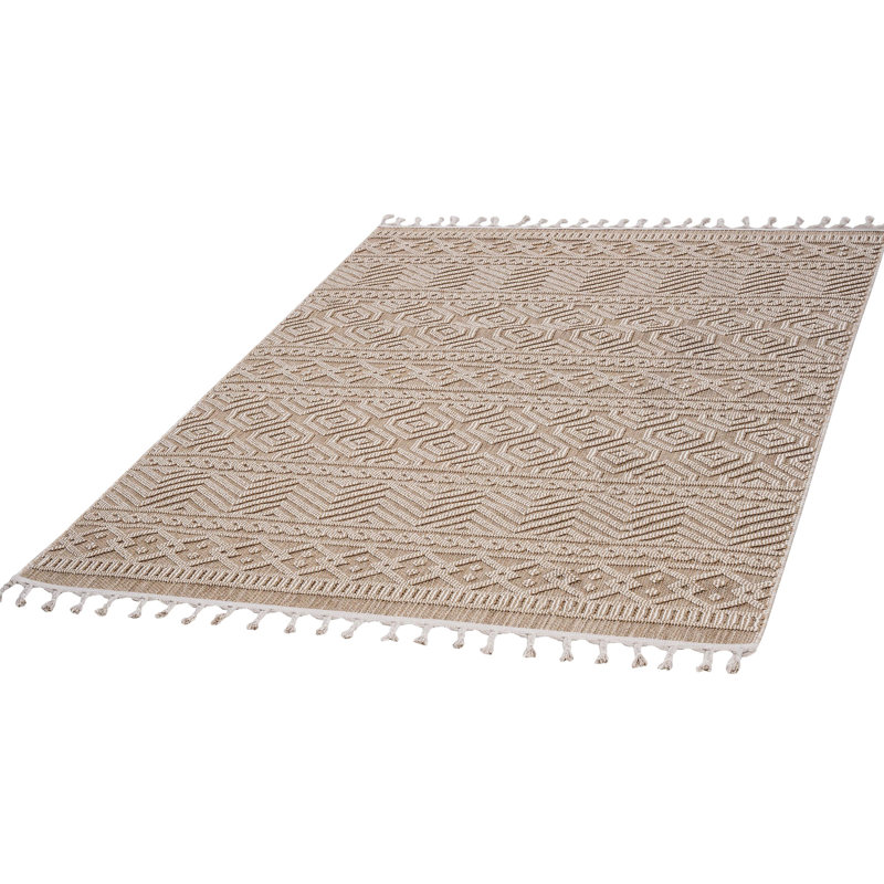 Tapis tissé à la main et motif 5 x 7 Teint, sans perte de poils, pour les salles à manger, tapis doux et pratique. Teinture, animal de compagnie, intérieur / extérieur, facile à entretenir