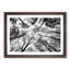 Vaulted Tree Branches - Picture Frame Painting Print-56734462-56734457