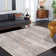 Daniel Performance Abstract Rug