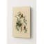 American Crossbill (planche 197) - Portrait, art mural en métal-1450409149