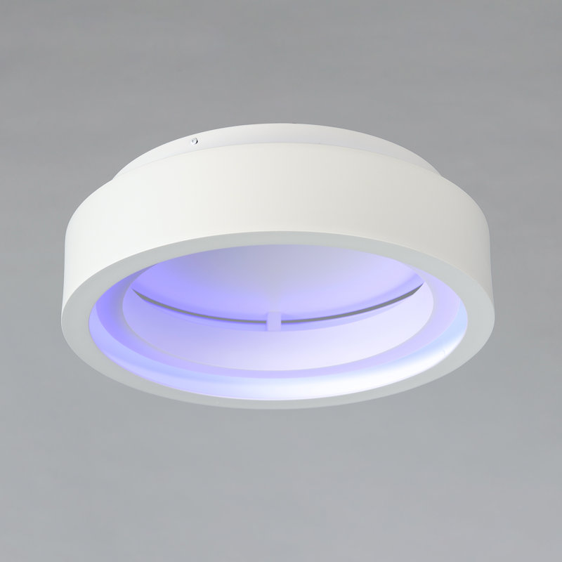 Lumière intelligente, Blanc mat