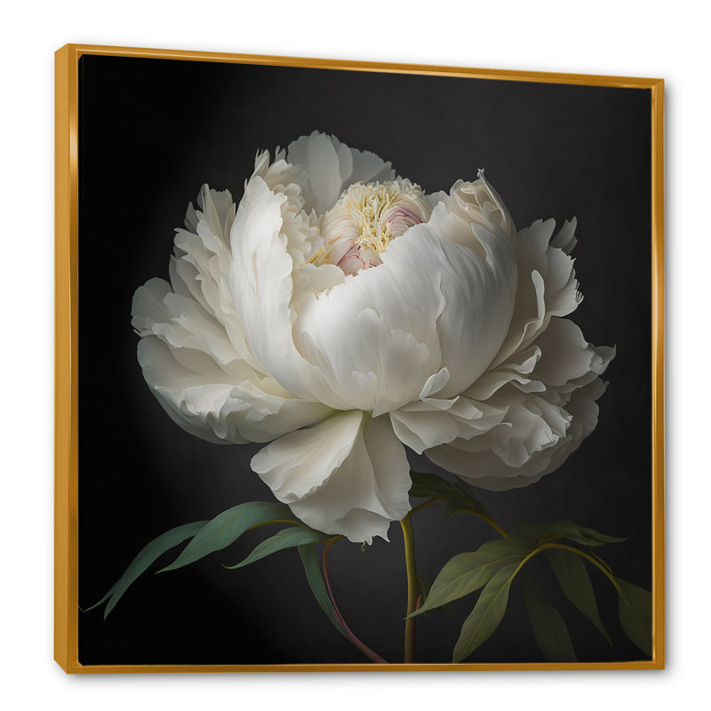 Blooming White Peony VI - Art mural pivoine, H 30 po x l 30 po, Reproduction avec cadre flottant, Doré