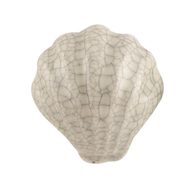 2" Sea Shell Novelty Knob
