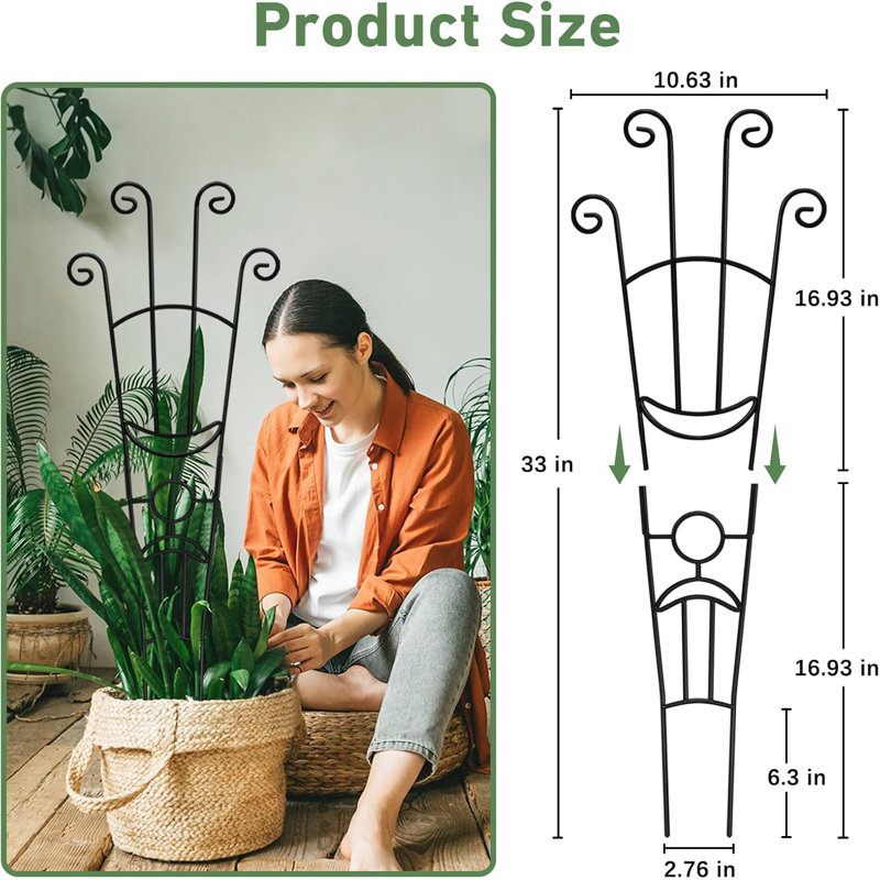Paquet de 2 treillis pour plantes en métal résistant à la rouille - Support extensible pour plantes grimpantes en pot