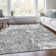 Premium Machine Washable Prisco Gray Rug