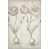 Black Floater Framed is unavailable