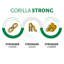 Portique de base Gorilla
