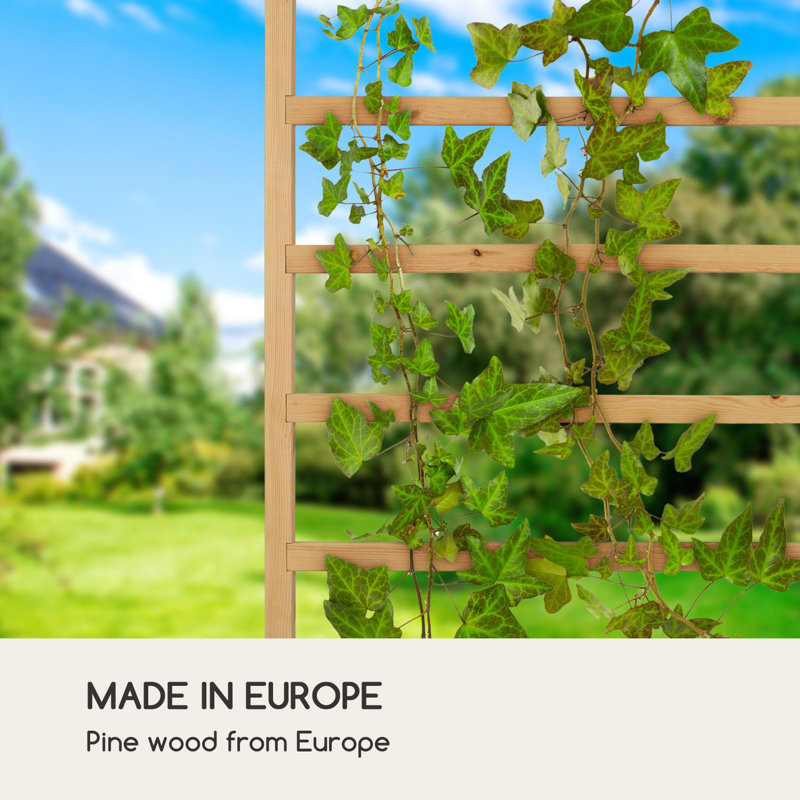 151cm H Wood Lattice Panel Trellis, 151cm H x 50cm W x 19cm D