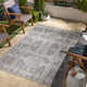Bronwyn Area Rug TRG2305