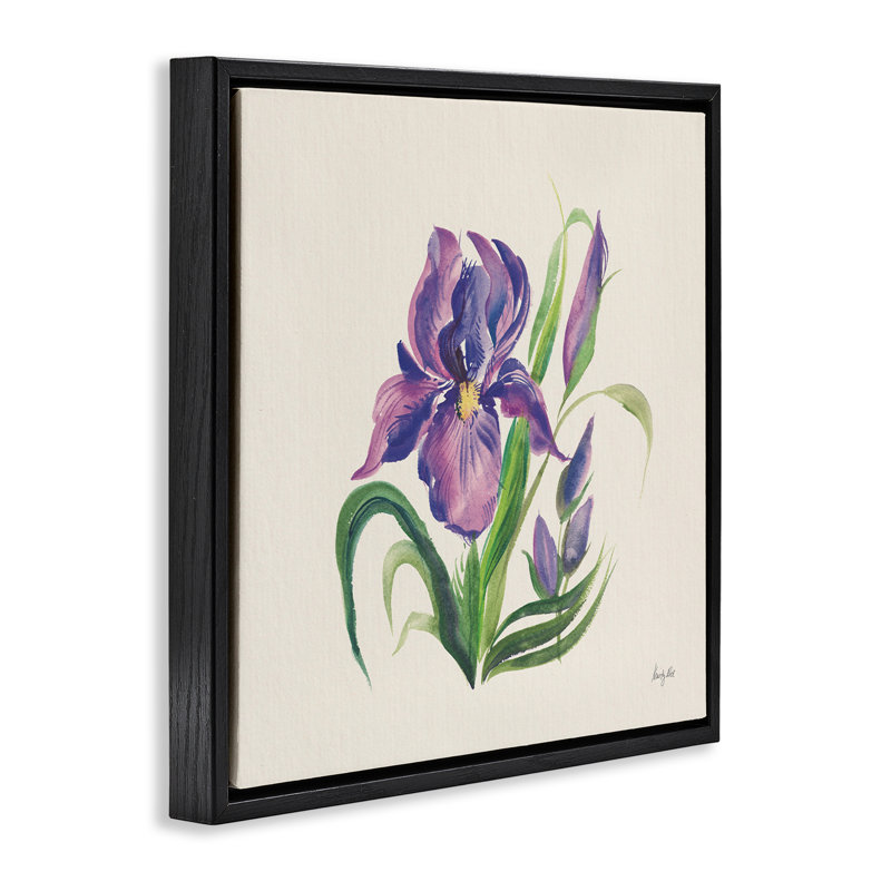 «Mauve Iris Flower», art mural sur toile flottante par Kristy riz, Cadre flottant noir de jais, H 25 po x l 25 po
