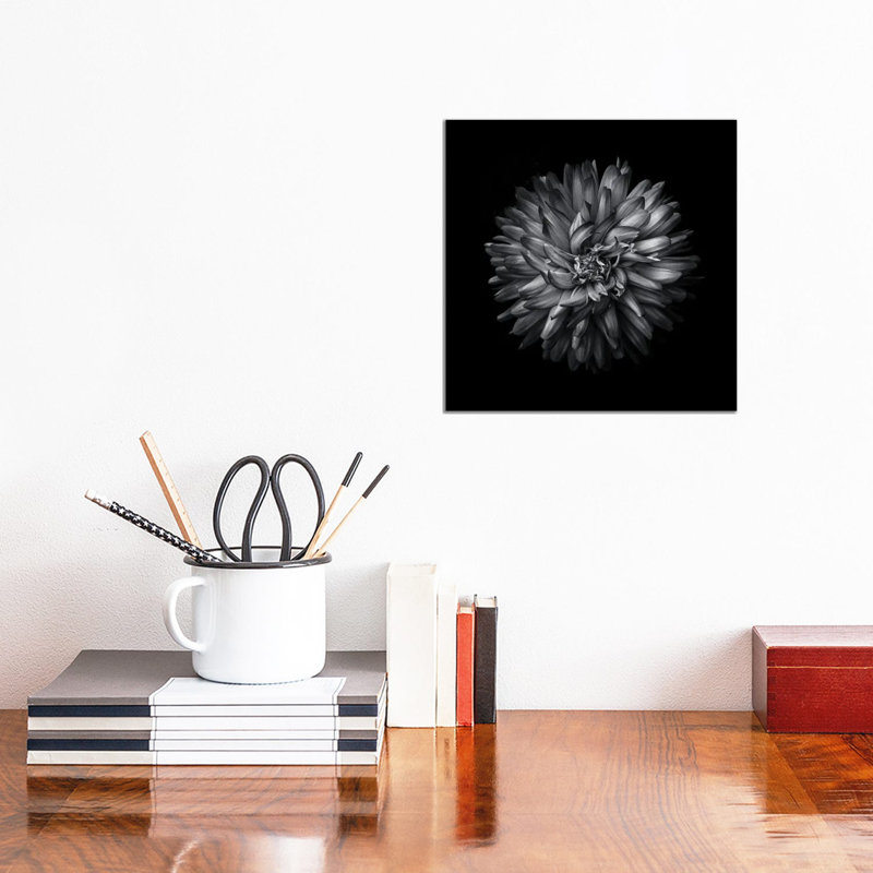 Black And White Mum I by Brian Carson - Wrapped Canvas Print, 30.48 cm H x 30.48 cm W