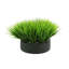 Arrangement d'herbe Riey dans un pot de fleurs rond en fibre de pierre