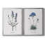 Lavande - ensemble de 2 reproductions d'impressions-467967544-467967549-467967545