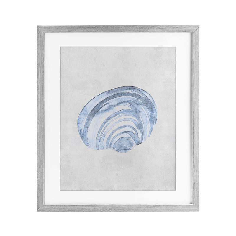 «Sea Snail», impression subtile encadrée sous verre, par Camila Juncos, Cadre de ferme gris, H 21 po x l 17 po