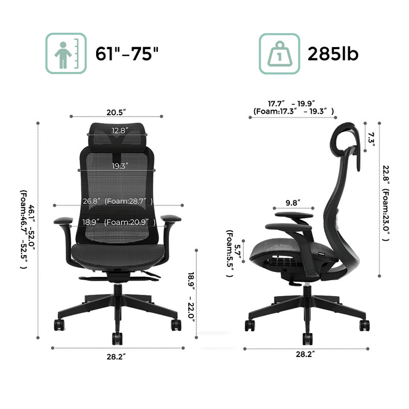 Ergonomic Mesh Task Chair, Adjustable Office Chair with 2D Headrest & 3D Armrest, Home Office Desk Chair with Lumbar Support, Recline Function,Black