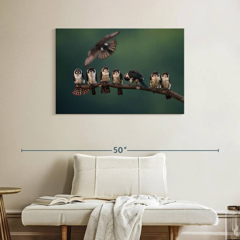 Perched Falconet Birds, 26" H x 39" W