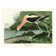 JOHN JAMES AUDUBON (AMERICAN AVOCET) 60X80 CANVAS - Wrapped Canvas Canvas