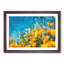 Yellow Blooming Flowers - Picture Frame Painting Print-56739559-56739555