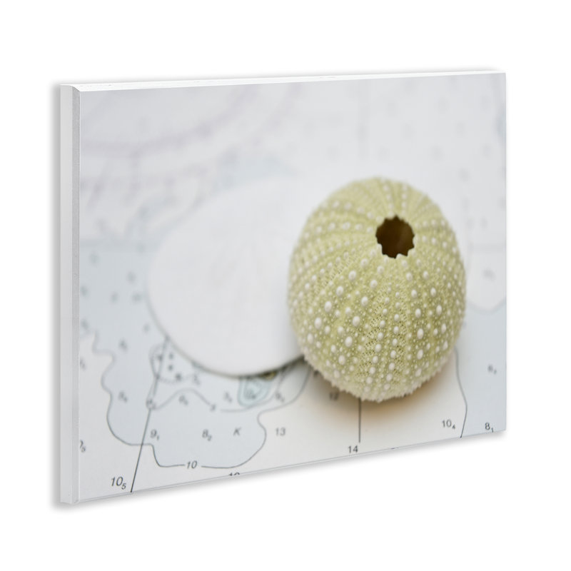 Art mural aquatique aquatique par Savanah Plank