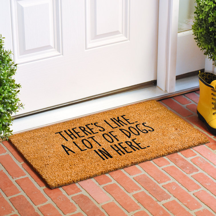 Lassina Non-Slip Door Mat Indoor Outdoor Door Rugs for Entryway 30'' x 17''  Home Entrance Floor Mats