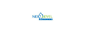 Logo Next Level Stuff