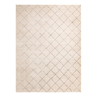 Latitude Run® Checks Novica Rug White and Silver
