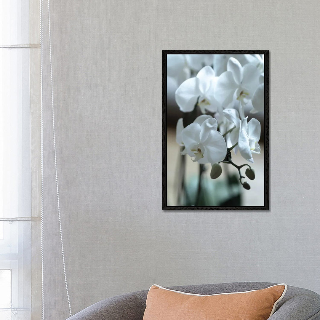 Delicate Orchids In Color von Teal Production - Floater Frame Gallery-Wrapped Canvas Giclée on Canvas