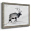Lone Bull-96291315-96291323