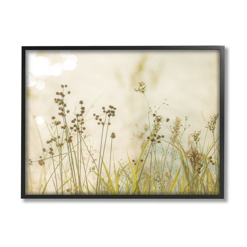 «Country Country Graminées» par Erin Marie, Giclée encadrée noir minuit, H 11 po x l 14 po x P 1,5 po