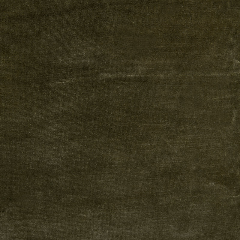 Arezzo Fabric, Bracken